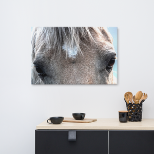 Canvas: HorseFace 3 (size 24"x36" only)