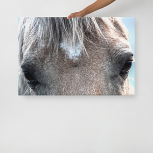 Canvas: HorseFace 3 (size 24"x36" only)