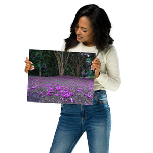 Metal Prints: Purple flowers on the ground