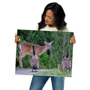 Metal Prints: Deer meets Mother Goose