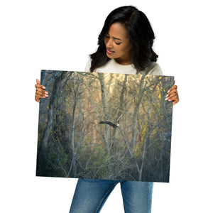 Metal prints: Eagle in the woods
