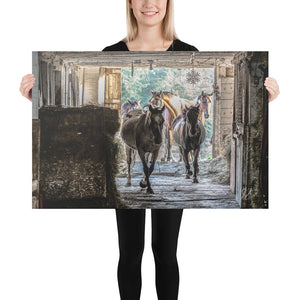 Canvas: Horses in the Barn