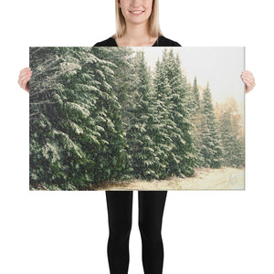 Canvas: Winter Pines