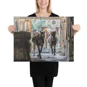 Canvas: Horses in the Barn
