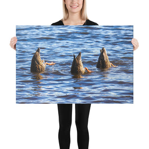Canvas: Feeding Ducks