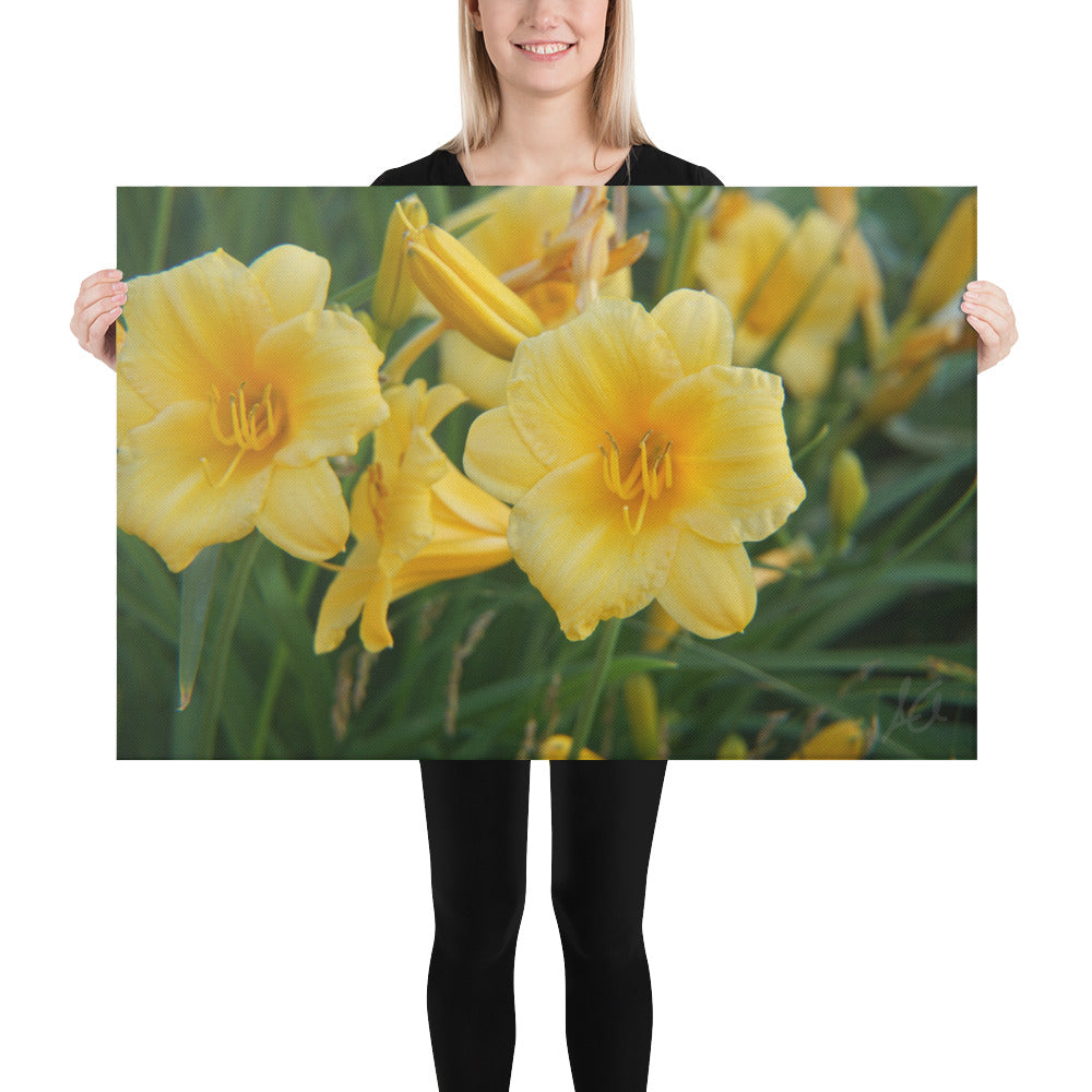 Canvas: Lillies in Bloom (size 24"x36" only)