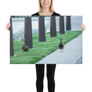 Canvas: Cool Ducks (size 24"x36" only)