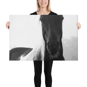 Canvas: Horse Black and White (size 24"x36" only)